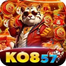 ko857 - Dropship APK